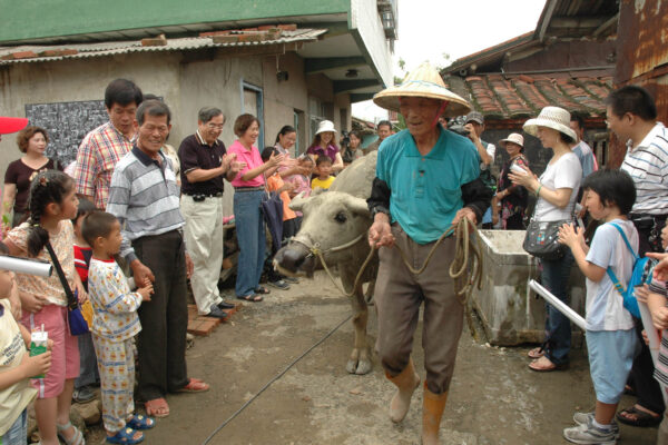臺南土溝社區「水牛起厝」活動,重塑了居民對農村文化的在地認同